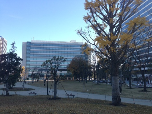 画像8