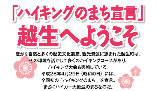 スクリーンショット 2018-10-15 13.11.46