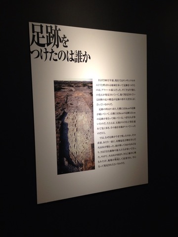 画像15