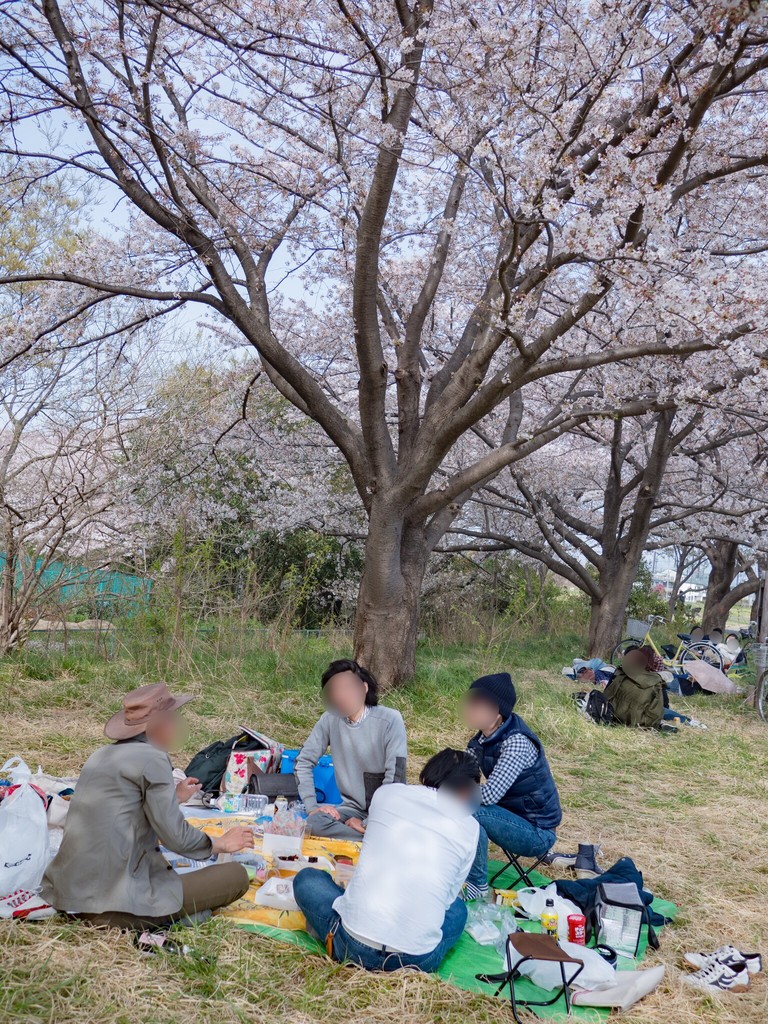 ゆったり快適 花見の穴場 府中市 郷土の森公園 Newsact ゆったり快適 花見の穴場 府中市 郷土の森公園 Newsact