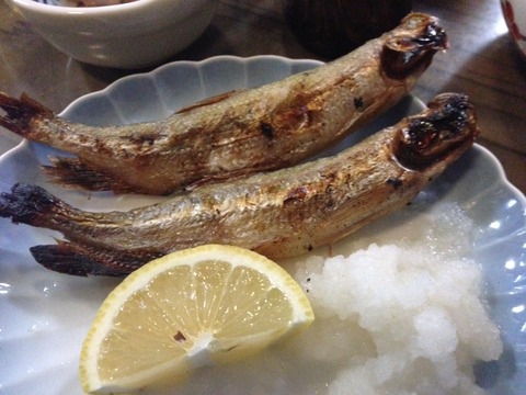 画像8