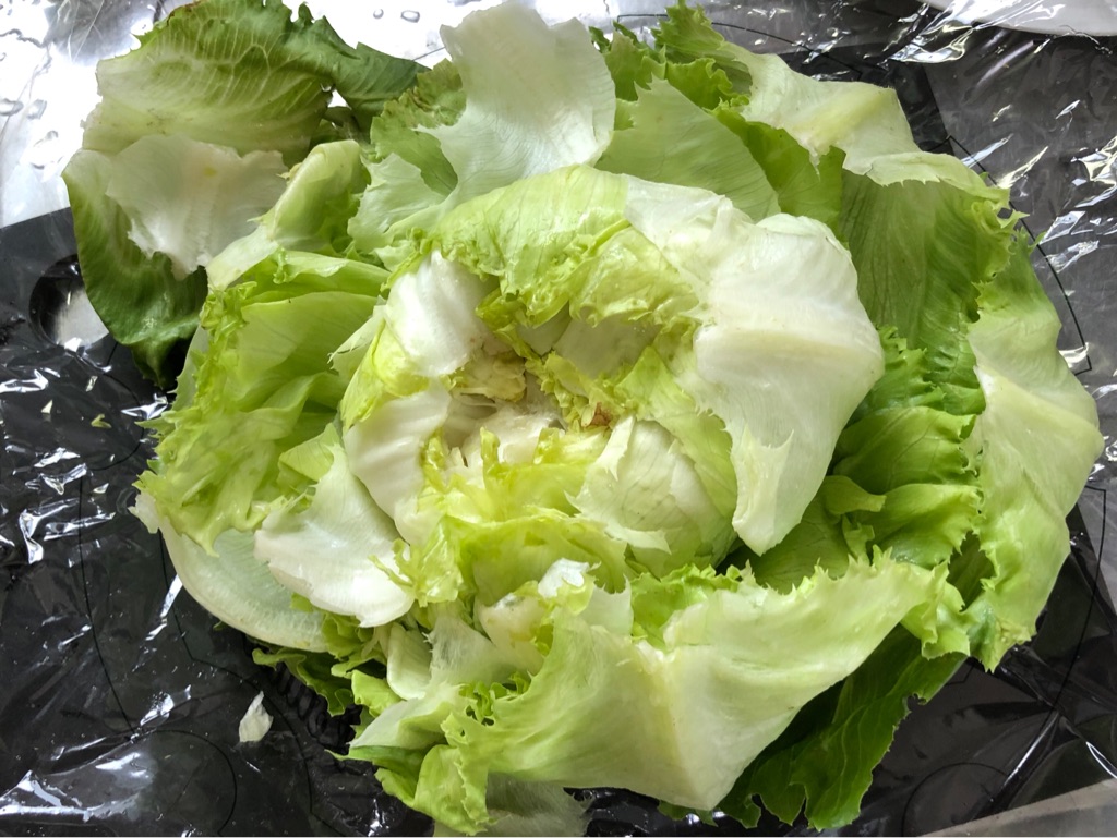 レタスをキレイに剥がすカンタン 芯のくり抜き方 Newsact レタスをキレイに剥がすカンタン 芯のくり抜き方 Newsact