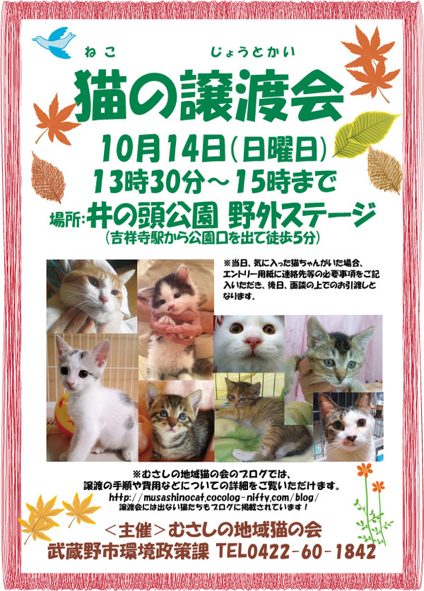 cat2