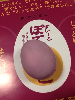 画像15