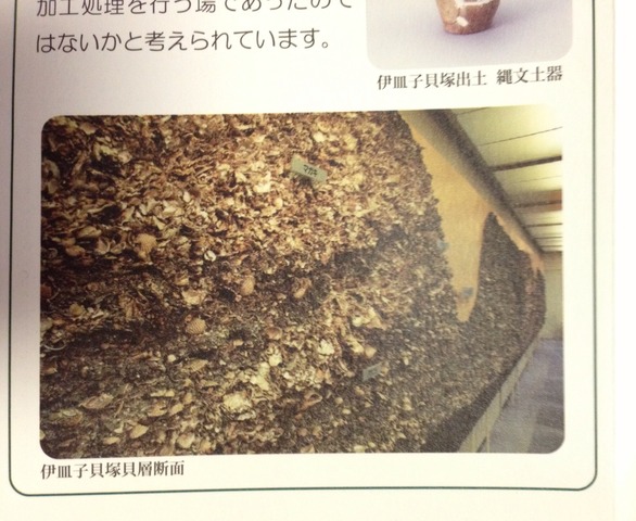 画像17