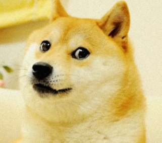 ドージ柴犬かぼすちゃんミームnft 約4 5億円で落札 あにまるニュースʕ ᴥ ʔ