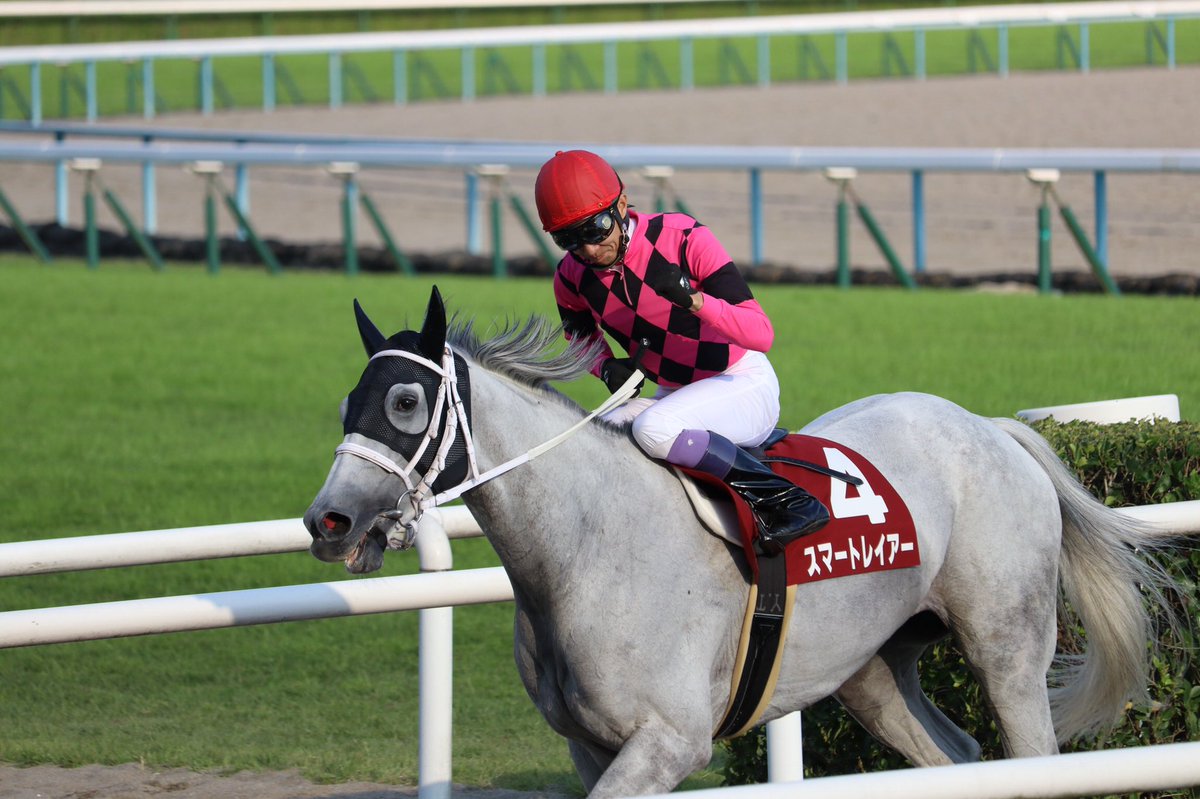 競馬 京都大賞典はスマートレイアーがv 帰ってきたニュー速俺日記