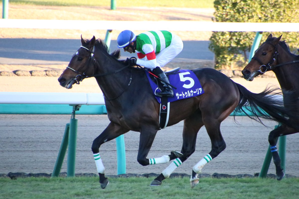 競馬 ホープフルsはサートゥルナーリアがv 帰ってきたニュー速俺日記 競馬 ホープフルsはサートゥルナーリアがv 帰ってきたニュー速俺日記