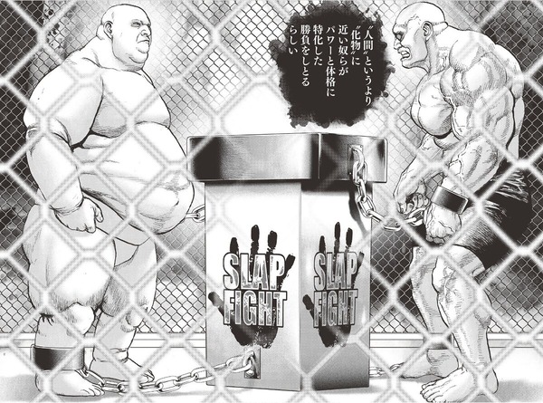 00028527