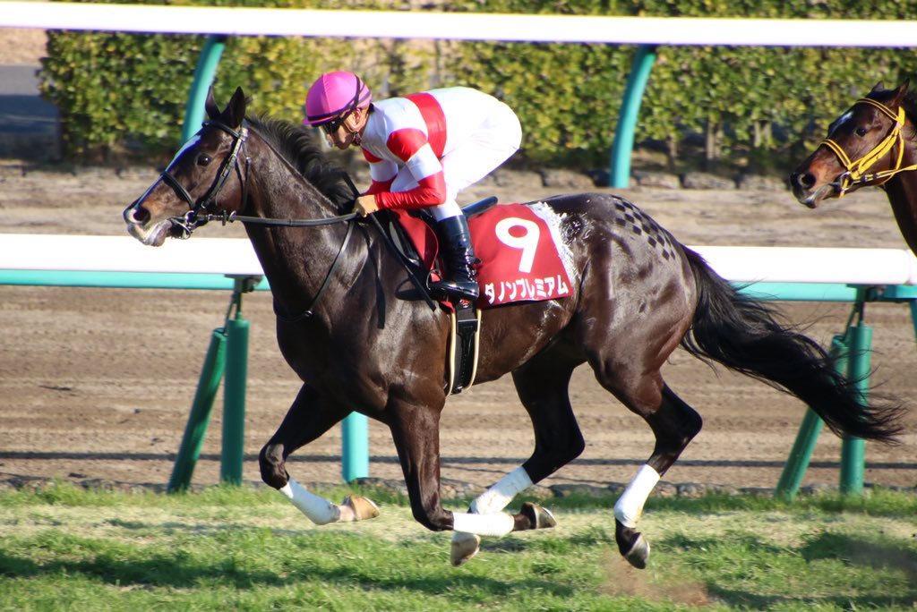 競馬 弥生賞はダノンプレミアムがv 帰ってきたニュー速俺日記