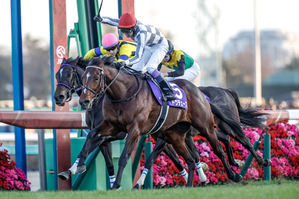 【有馬記念】ドウデュース（武豊）のジョッキーカメラ 競馬ファンの反応