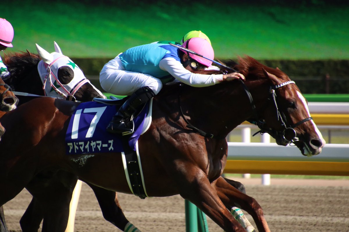 競馬 Nhkマイルカップ はアドマイヤマーズがv 2着は14番人気ケイデンスコール 帰ってきたニュー速俺日記