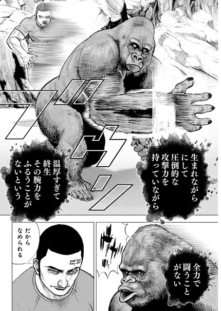 タフ龍継295話、悪魔王子がゴリラを愚弄するのひどくない？