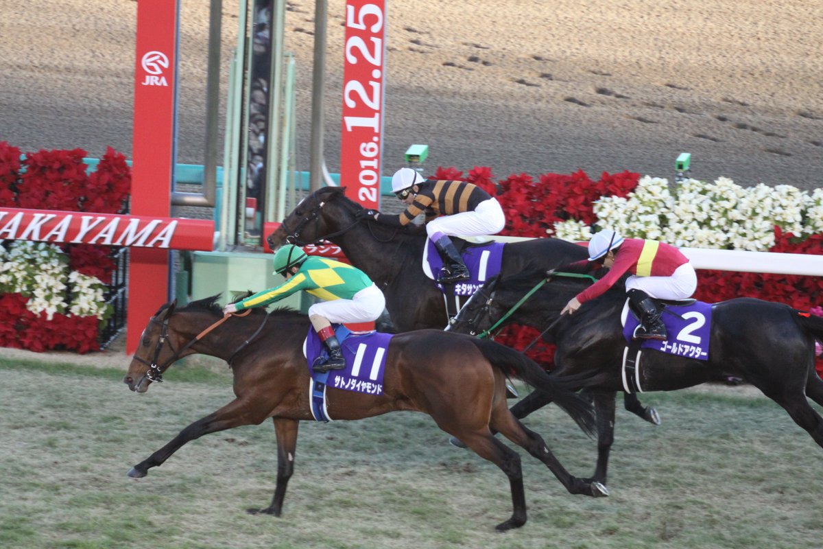 競馬 有馬記念 中山競馬場913人の前で勝ったのはサトノダイヤモンド Twitterの反応 その1 帰ってきたニュー速俺日記 競馬 有馬記念 中山競馬場913人の前で勝ったのはサトノダイヤモンド Twitterの反応 その1 帰ってきたニュー速俺日記