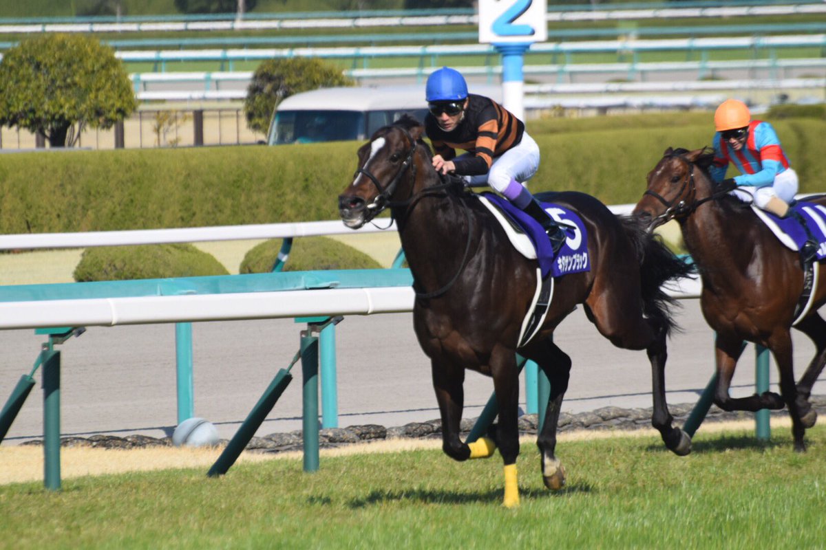 ç«¶é¦¬ å¤§éªæ¯ã¯ã­ã¿ãµã³ãã©ãã¯ãv ã¹ããã¡ãã¹ã¯2çå¥ç· å¸°ã£ã¦ãããã¥ã¼éä¿ºæ¥è¨
