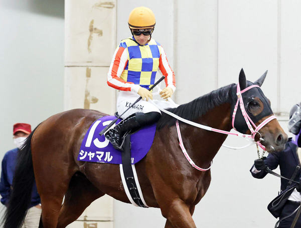 【競馬】川田将雅、シャマルを強奪したわけではなかった