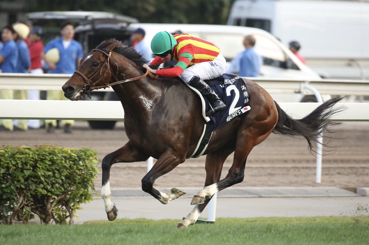 競馬 香港カップはモーリスがv エイシンヒカリは放馬の影響もあってか10着 帰ってきたニュー速俺日記