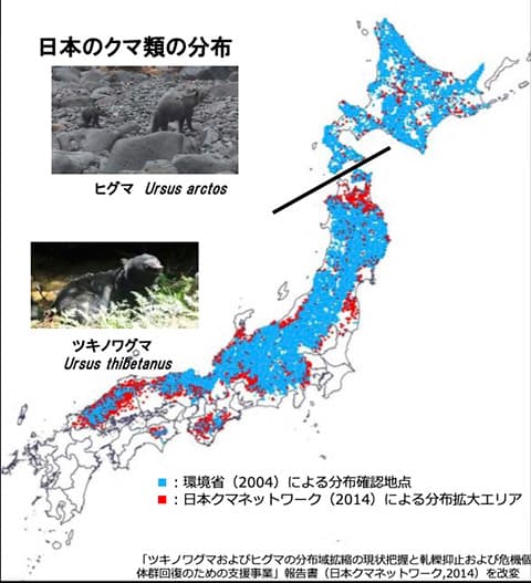 クマ出没件数、人身被害件数最悪の前年度を上回るペース