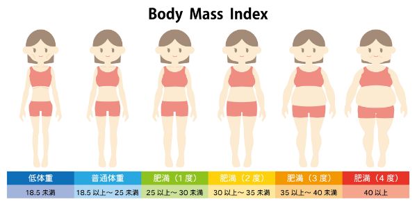 BMI25以上でも長寿？！肥満と長生きの関係を解説　日本人の中高年が知るべきダイエットの真実