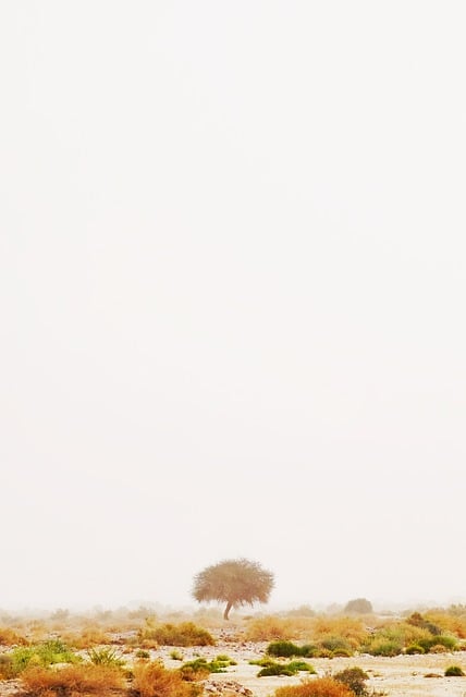 運気アップの秘密兵器！日常に取り入れたい開運グッズ特集