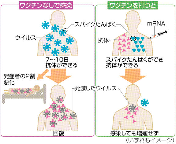 「３回打って一回コロナに感染してるし何の為に打つのか」ワクチン接種“卒業”宣言が波紋ｗｗｗｗｗ