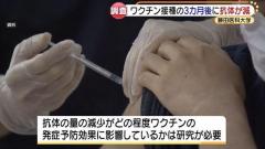 ファイザーワクチン“抗体量”3か月後4分の1に減