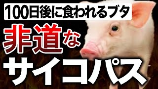 【悲報】100日後に食われるブタ、ガチで食われる・・・コメントする newssokohou