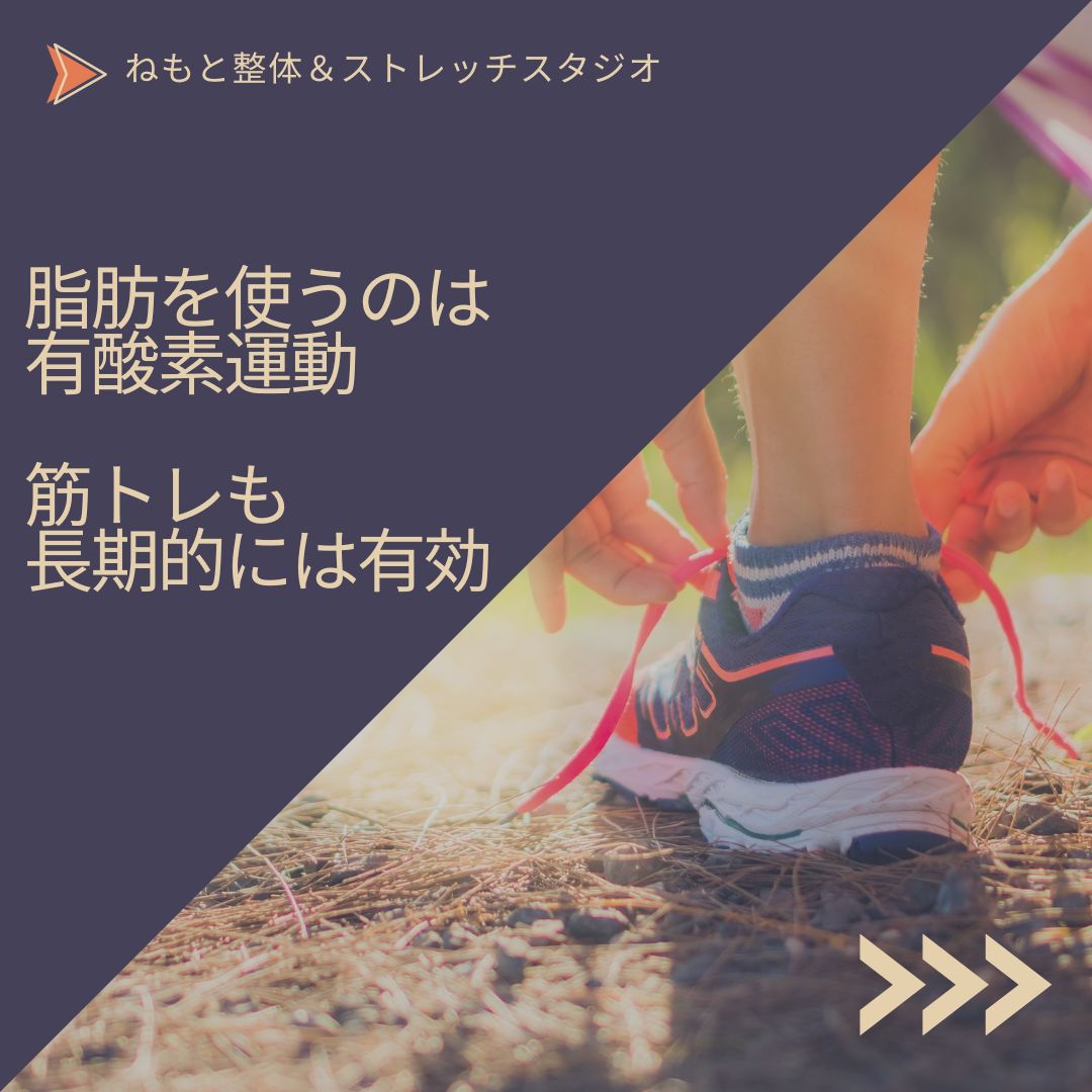 筋トレ vs 有酸素運動　ダイエットに最適な方法は？姿勢の重要性も考察