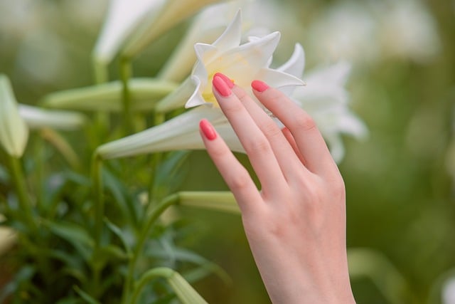 美容も健康も思いのまま！日常でできるストレッチ完全ガイド