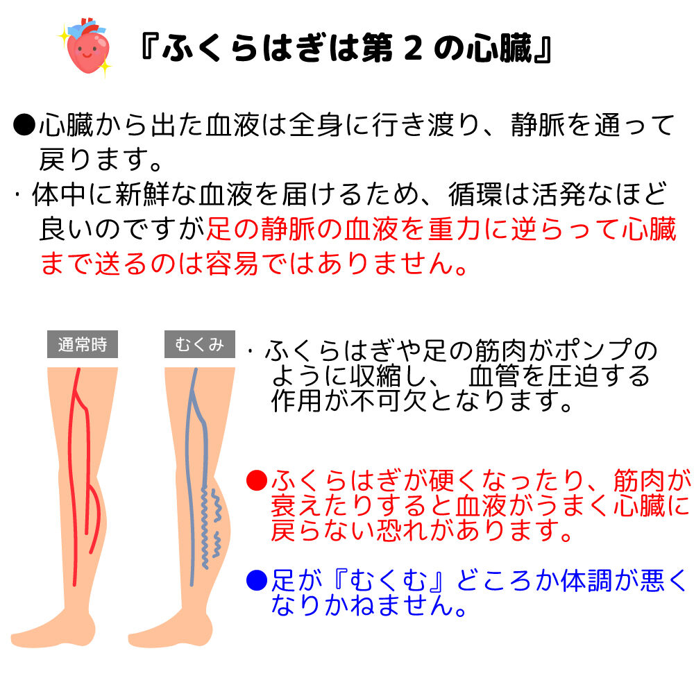 第2の心臓といわれるふくらはぎ　効果的なマッサージテクニック　【徹底解説】