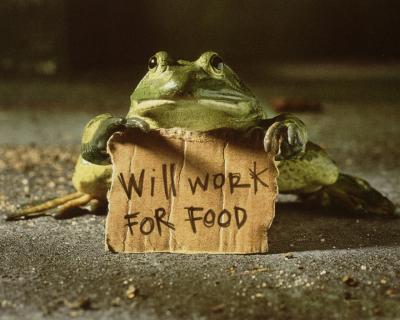 wallpaper-1726_convert_20100508023709