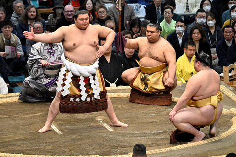大の里　横綱