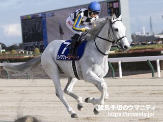 ガイアフォース