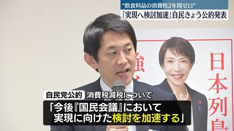 消費税減税　自民　公約