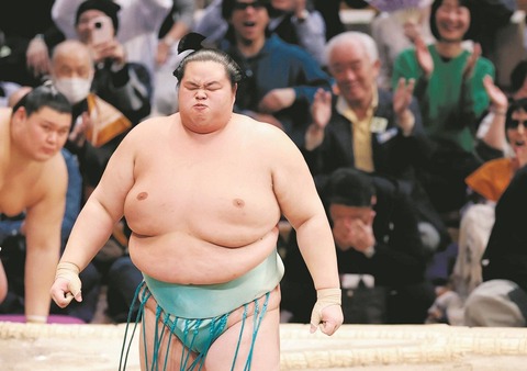 琴櫻