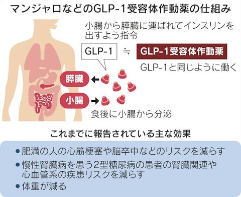 糖尿病治療薬のマンジャロ「急激な減量・過度な食事制限