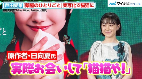 芦田愛菜 猫猫