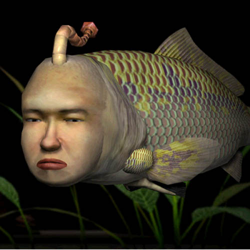 おまいら一日どれぐらい水槽眺めてるの アクアリウム速報 おまいら一日どれぐらい水槽眺めてるの アクアリウム速報