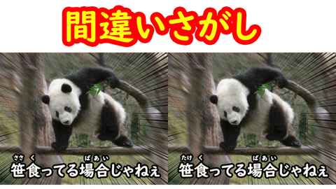間違い探し 2つの画像の違いがわかるかな 笹を食べてるパンダ偏 脳トレ 脳トレンド 間違い探し 2つの画像の違いがわかるかな 笹を食べてるパンダ偏 脳トレ 脳トレンド