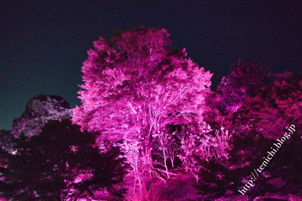 08_07_25