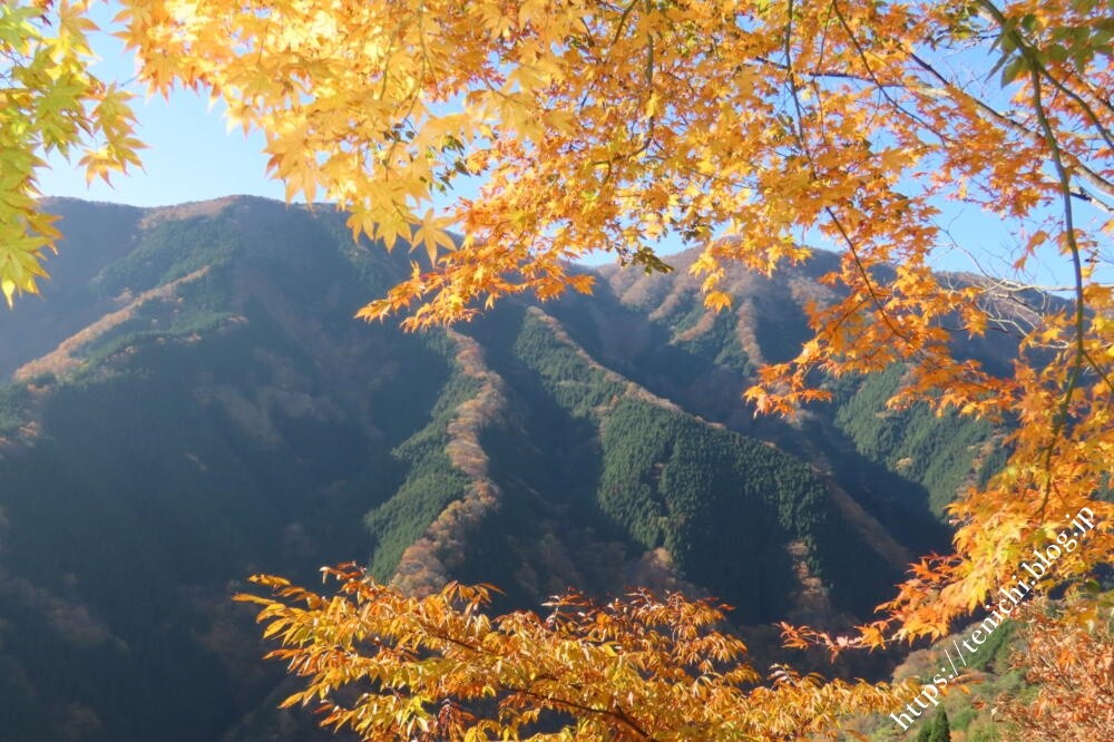 紅葉様 国道309号線紅葉ドライブ : GOOD LUCK
