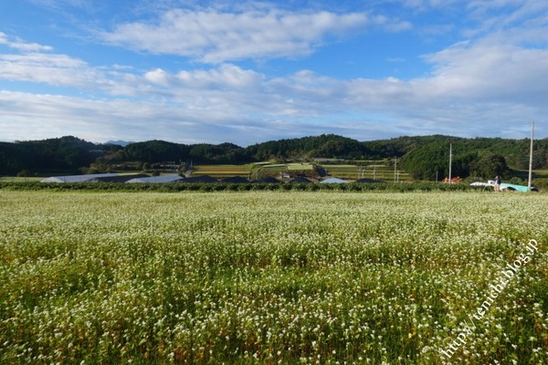 09_27_07(1)