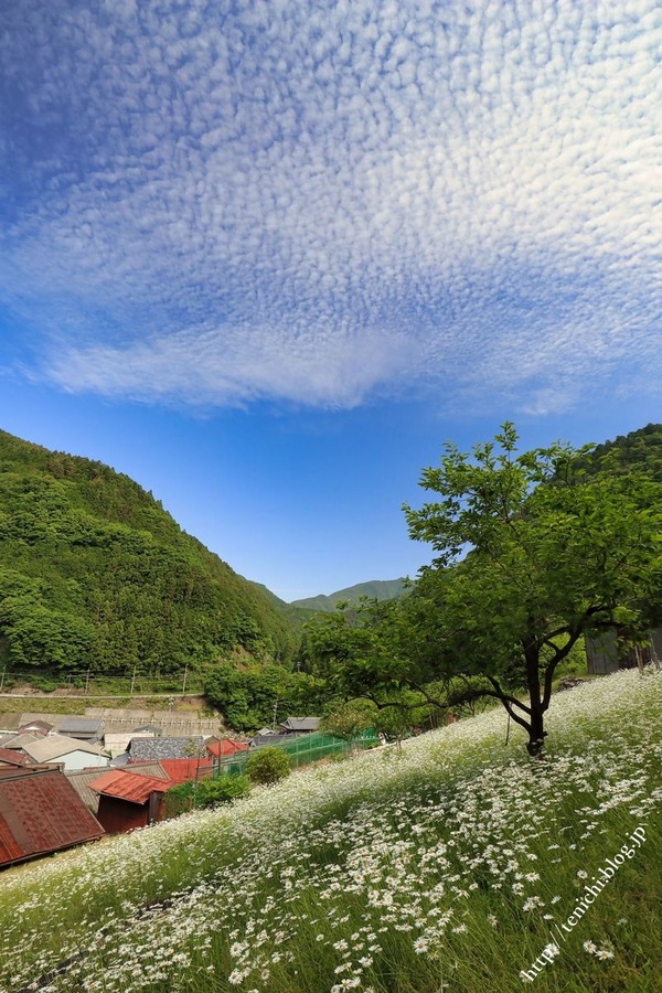 05_2_01(1)
