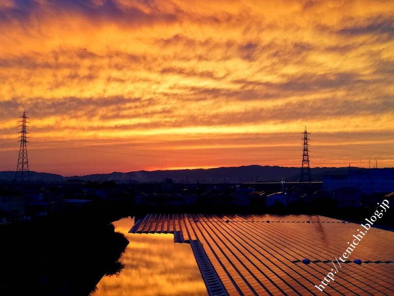 今日の夕焼けとカワウ Good Luck