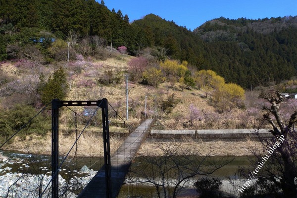 04_03_10(1)