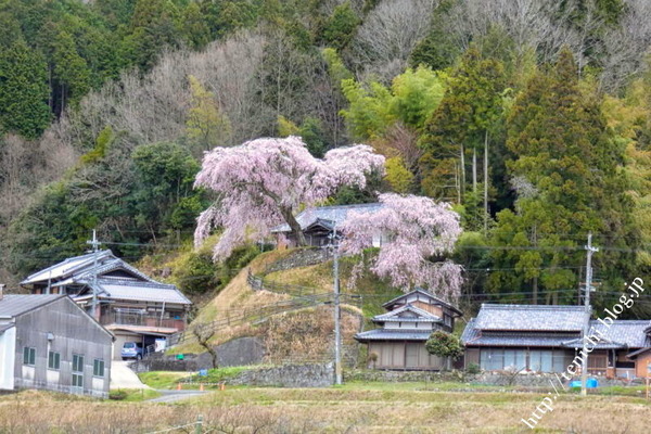 04_01_01(1)