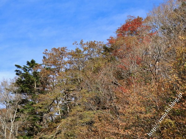 10_28_27(1)