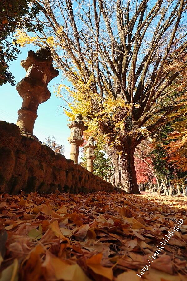 12_09_12(1)