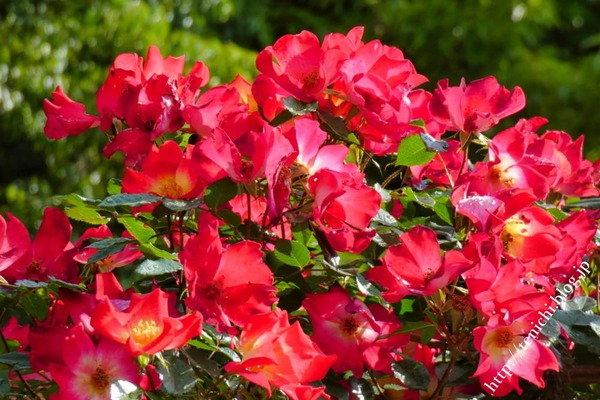 05_08_38(1)