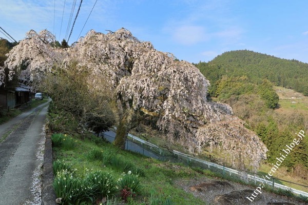 IMG_8997(1)